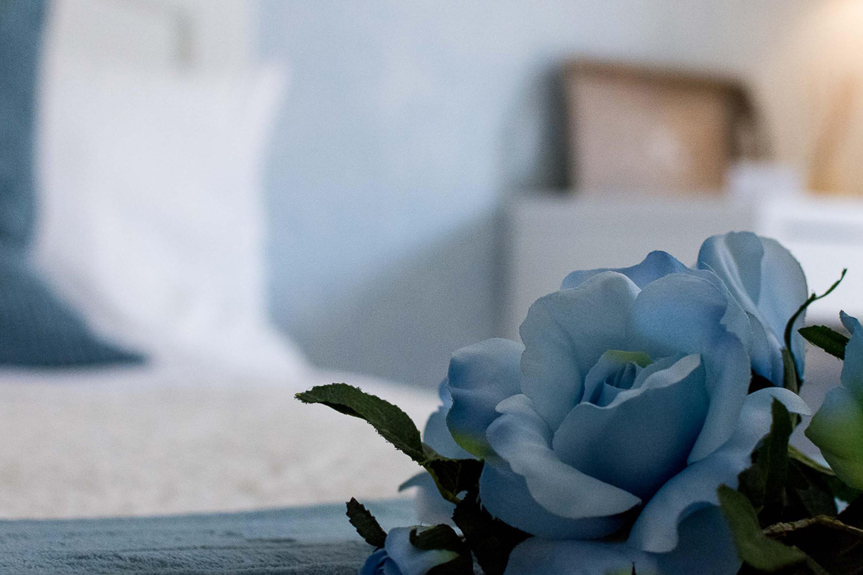 A Casa Di Titty Bed & Breakfast Fiumicino