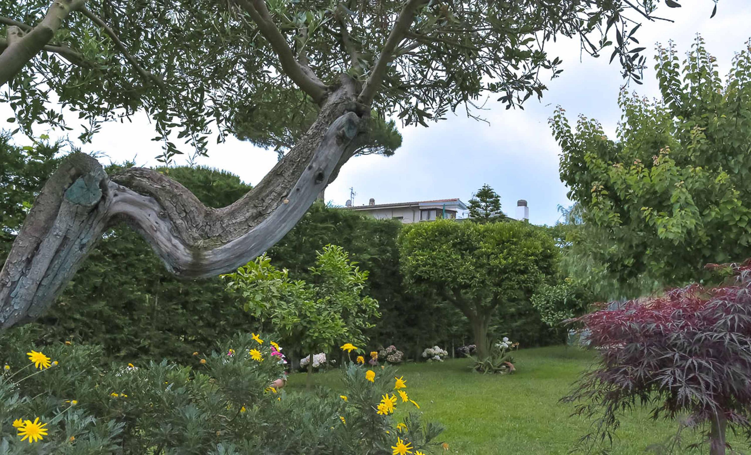 A Casa Di Titty Bed & Breakfast Fiumicino