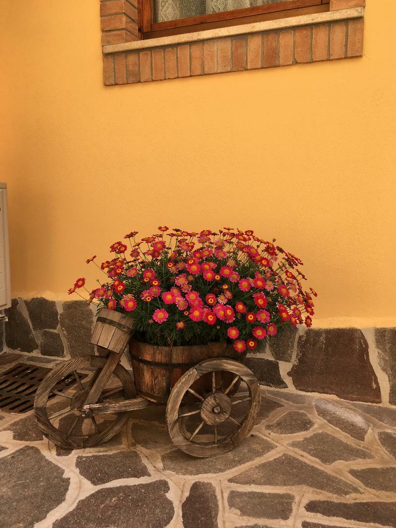 A Casa Di Titty Bed & Breakfast 3*