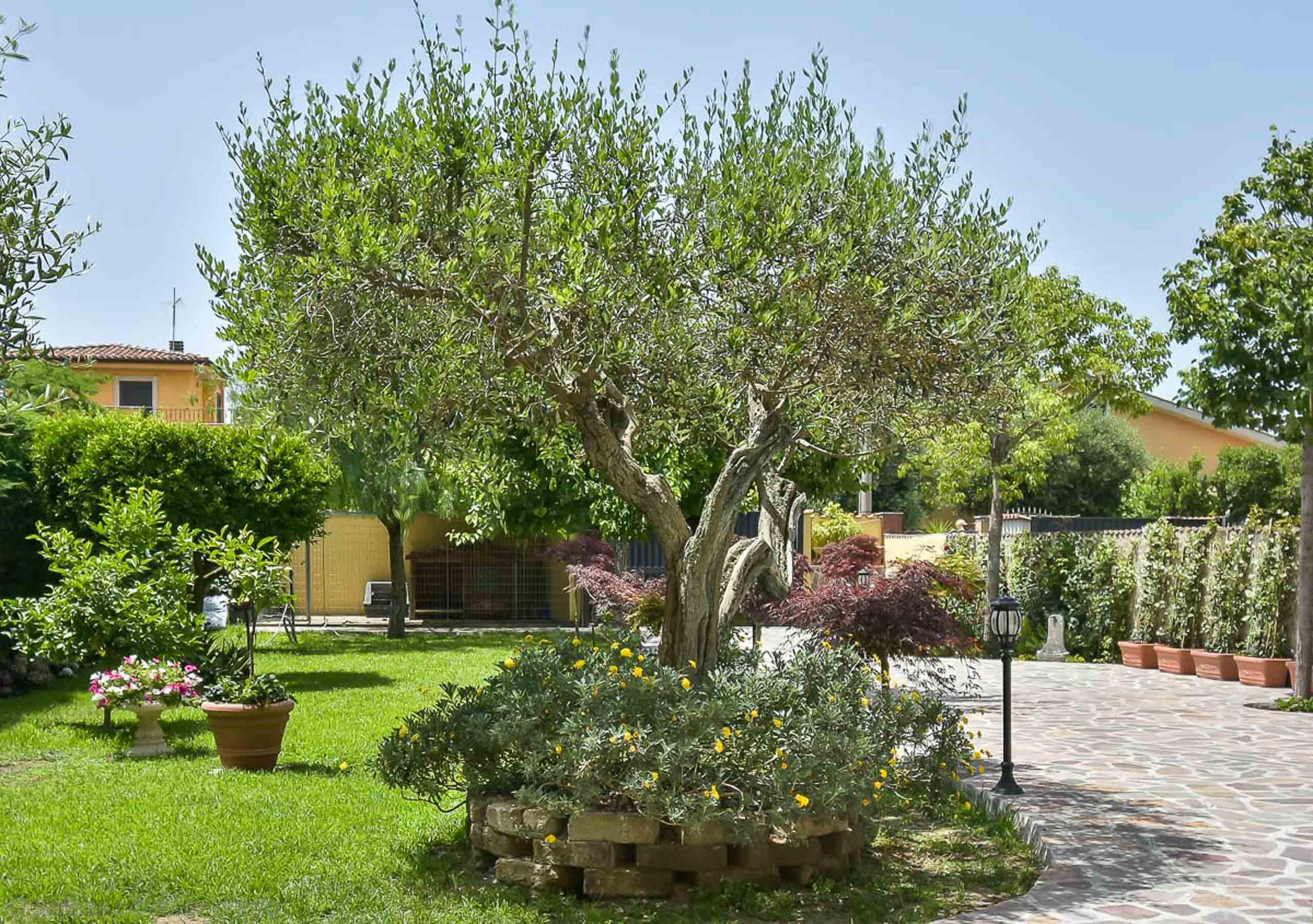 A Casa Di Titty Bed & Breakfast 3*
