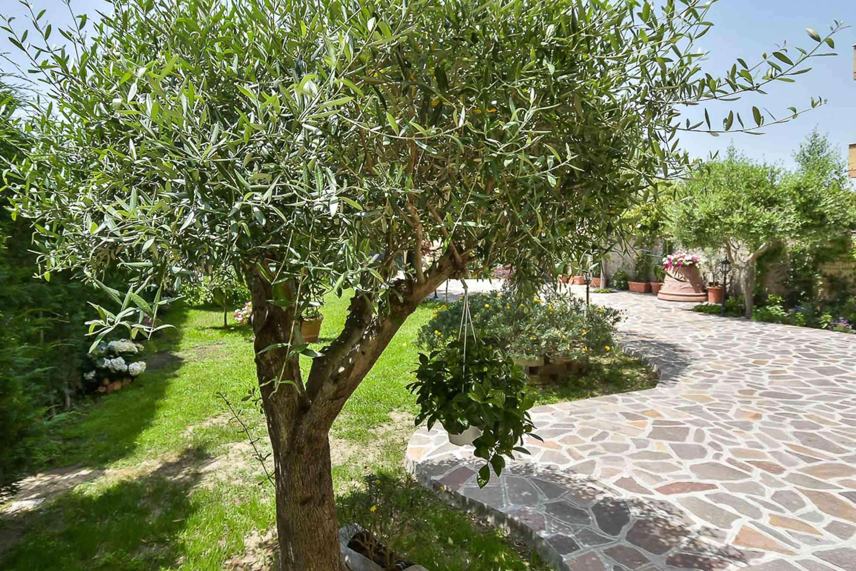 A Casa Di Titty Bed & Breakfast
